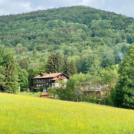 Huettenflair Im Gut Sonnenwald Schollnach Екстер'єр фото